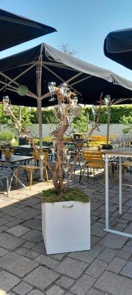 Champagneboom huren bij Je Grote Dag – foto 2